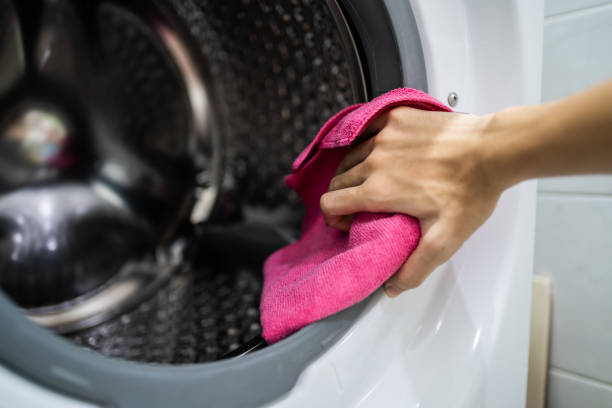 Best Mold Damage Restoration  in Mount Angel, OR