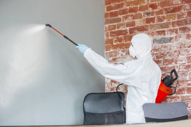 Best Residential Mold Inspection & Testing  in Mount Angel, OR