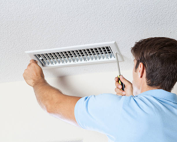 Best Mold-Related Health Consultation  in Mount Angel, OR