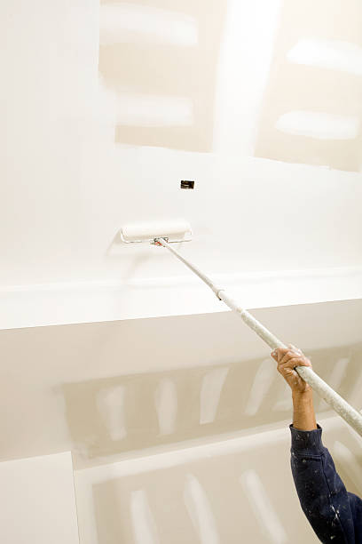 Best Basement Mold Removal  in Mount Angel, OR