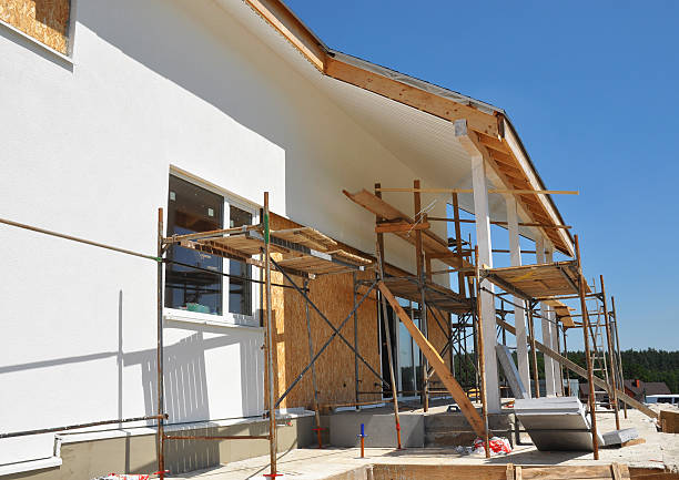 Trusted Mount Angel, OR Mold Removal Experts